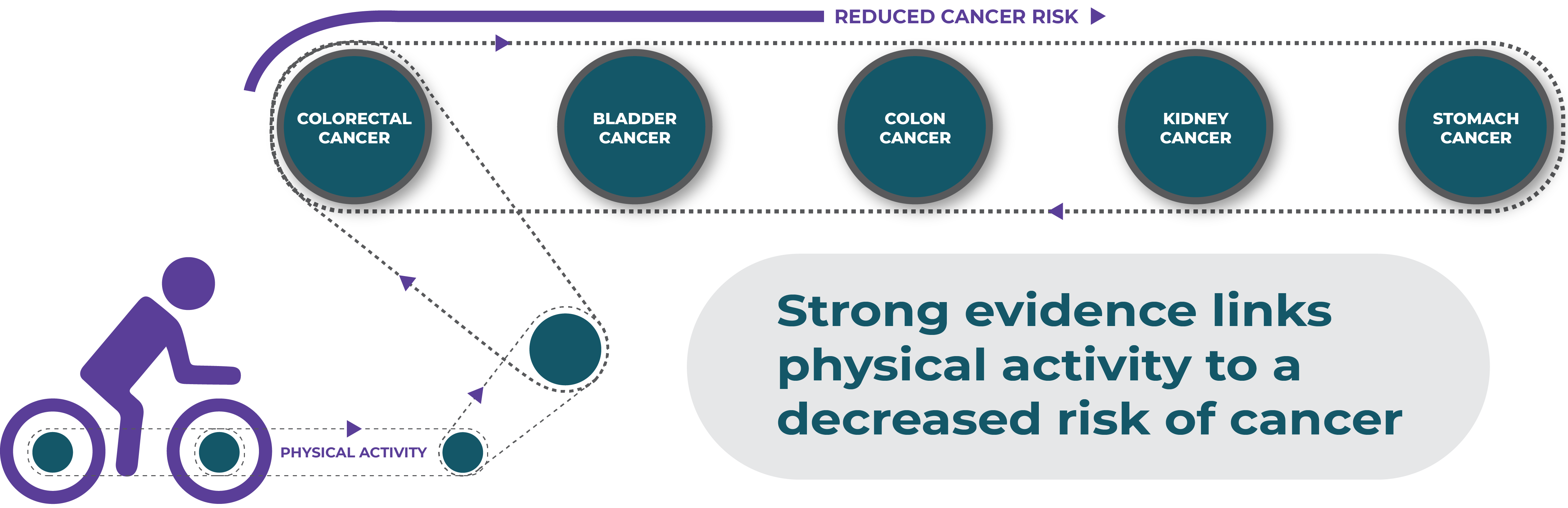 strong evidence links physical activity to a decreased risk of cancer such as colorectal, bladder, colon, kidney and stomach cancers